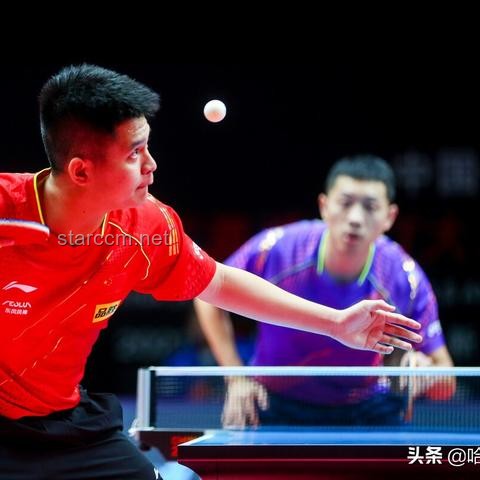 樊振东3:2林诗栋：乒坛激战背后的技术与策略